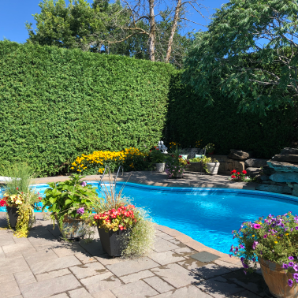 Visite virtuelle des jardins secrets - 2020-Maria Betsi-Côte-du-Rhônes