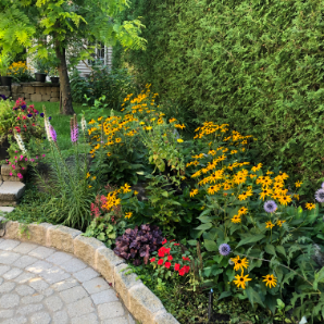 Visite virtuelle des jardins secrets - 2020-Maria Betsi-Côte-du-Rhônes