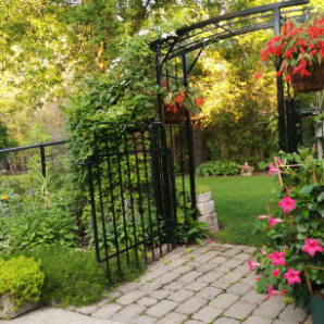 Visite virtuelle des jardins secrets - 2020 - Diane Préville - rue Bellerive