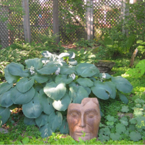 Visite virtuelle des jardins secrets - 2020-Marcel Renaud & René Poirier-de Rose