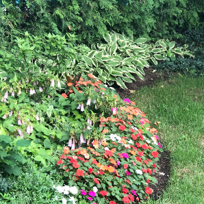 Visite virtuelle des jardins secrets - 2020-Grace Salvaggio-de Lorraine