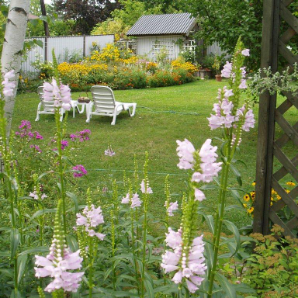 Visite virtuelle des jardins secrets - 2020-Irene Stopar-d