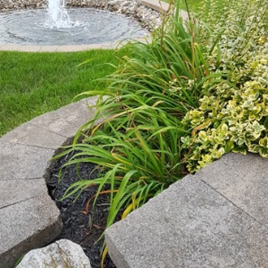 Visite virtuelle des jardins secrets - 2020-Mouna Tabbakh-Koury-duSauvignon