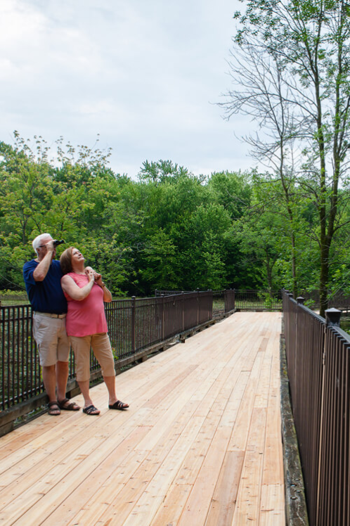 Rosemère in figures