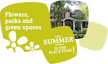 img Flowers, parks and green spaces Summer 2022